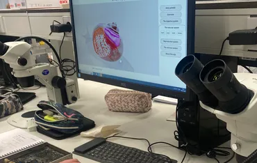 WUR snijpracticum 3 WUR snijpracticum 3
